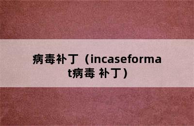 病毒补丁（incaseformat病毒 补丁）